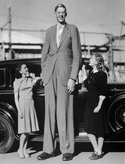 Njeriu më i gjatë në histori (Foto)