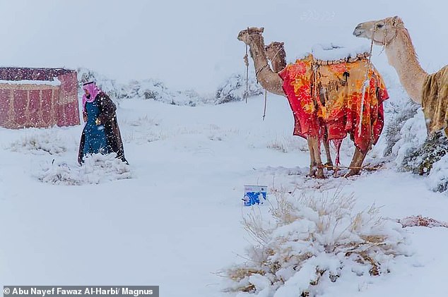 Senzacionale-Sahara mbulohet me borë, temperatura minus 2 gradë C!